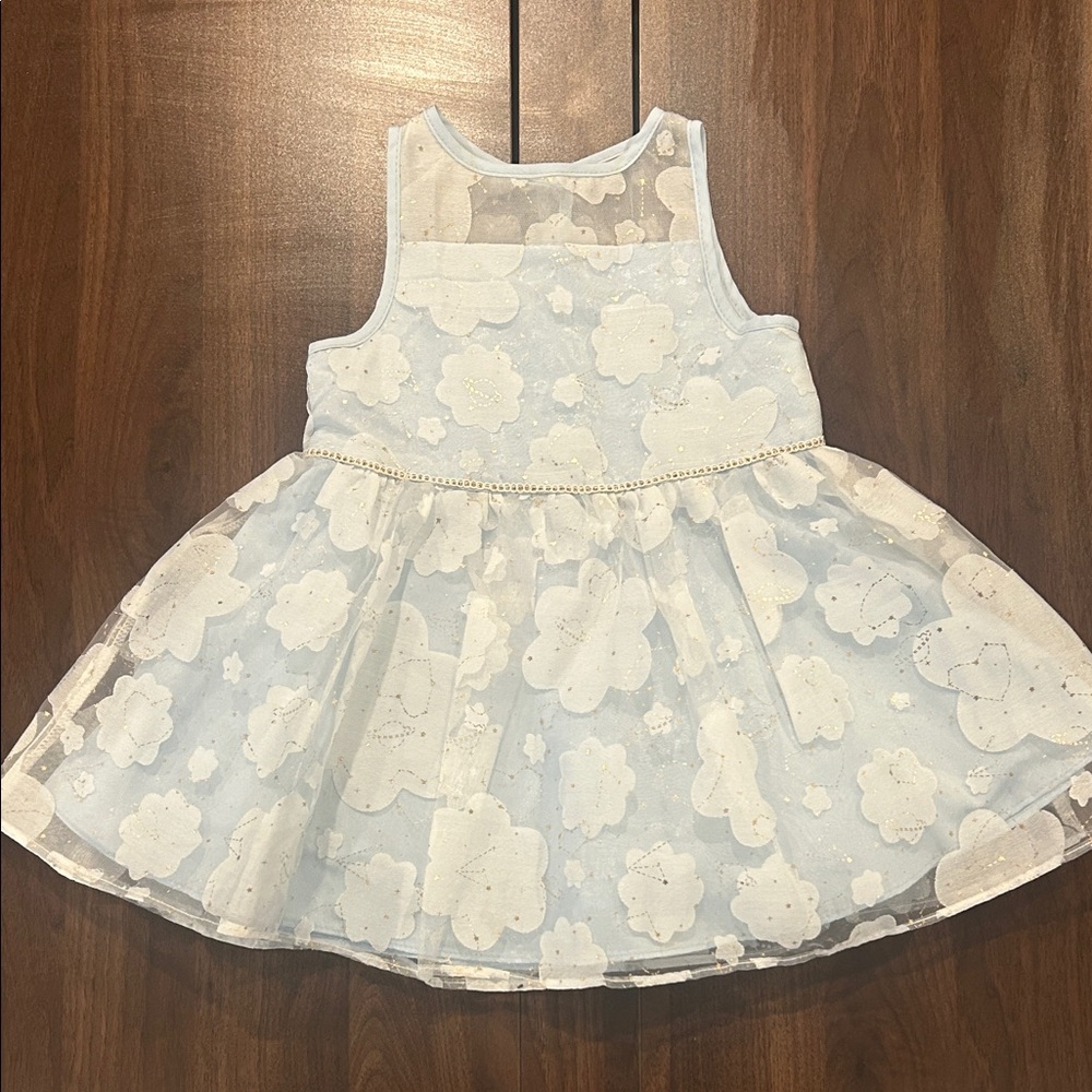 Lovely Planet Dress with Sheer Overlay